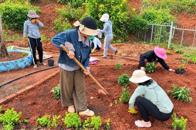 ĐOÀN THANH NIÊN TRƯỜNG MN HOA PHƯỢNG RA QUÂN TRỒNG CÂY, TRỒNG HOA TẠO CẢNH QUAN XANH, SẠCH, ĐẸP